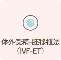 体外受精-胚移植法 （IVF-ET）