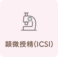 顕微授精(ICSI)